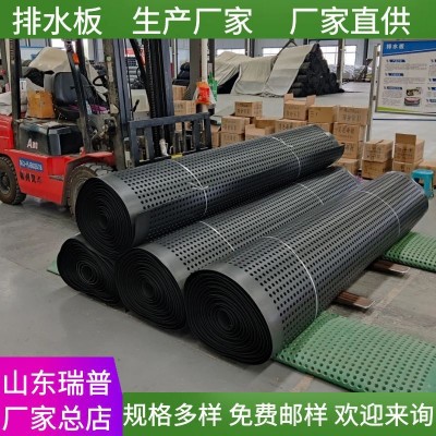 塑料防护排水板 屋顶绿化车库顶板疏水板 2公分黑色PE凹凸排水板图4