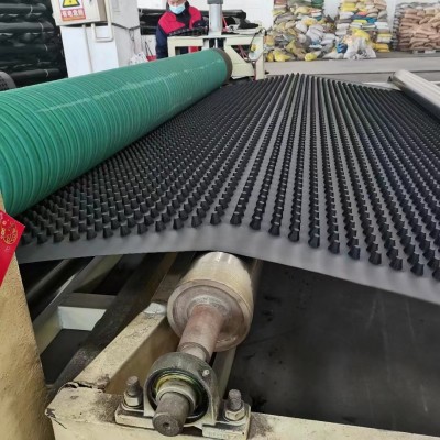 塑料防护排水板 屋顶绿化车库顶板疏水板 2公分黑色PE凹凸排水板图5