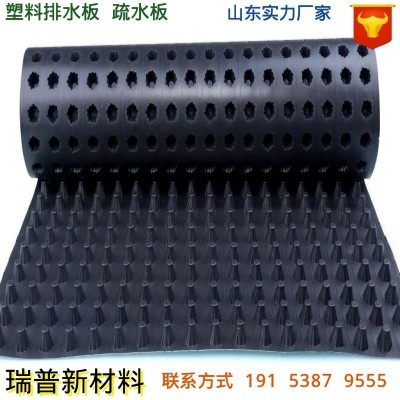 小区车库地下室顶板 隔水滤水阻根疏水板hdpe黑色卷材 塑料排水板图2