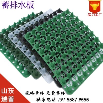 厂家供应塑料蓄排水板屋顶花园广场绿化种植疏水板凹凸蓄水排水板图2