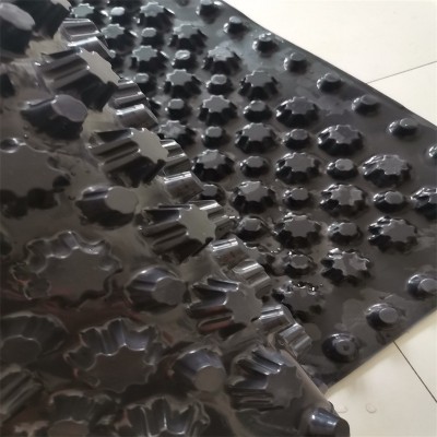 工厂直供 车库地下室顶板 阻根疏水导水屋面绿化隔水 PVC排水板图5