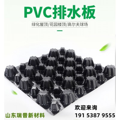 工厂直供 车库地下室顶板 阻根疏水导水屋面绿化隔水 PVC排水板图2