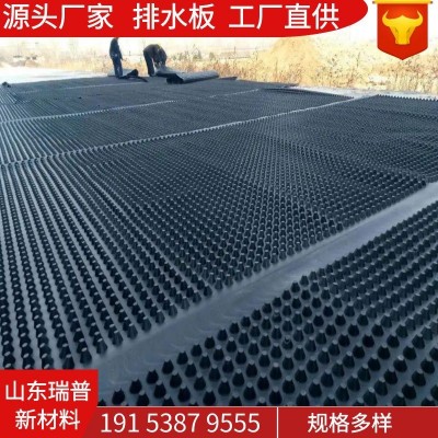 工厂直供塑料凹凸型排蓄水板 阻根板hdpe材质疏水板导水用 排水板图2