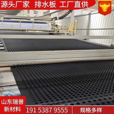 厂家供应凹凸型疏水板 屋顶绿化园林车库虹吸蓄排水板塑料 排水板图2