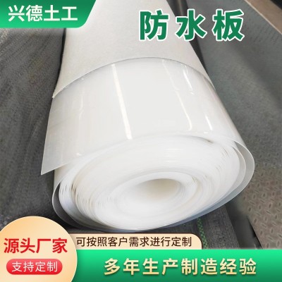 地铁隧道防水板 吊带防水板 防渗用水利工程防水板 EVA防水板图4