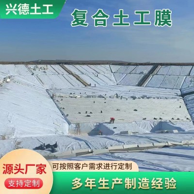 厂家直供复合土工膜 防渗土工布 长丝复合膜 两布一膜 一布一膜图3