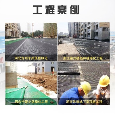 蓄排水板hdpe疏水滤水隔水镂空墨绿黑色透明凹凸塑料顶 板车库材料图3
