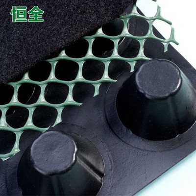 排水板塑料hdpe凹凸型疏水板防水停车场地下室车库厂家 定制阻根板图2