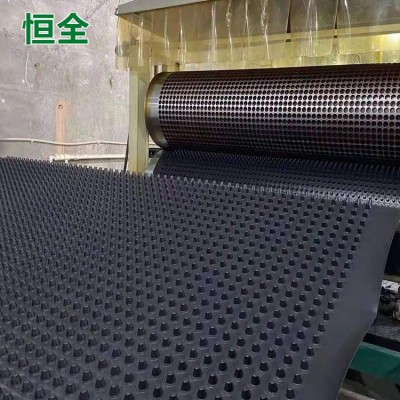 排水板塑料hdpe凹凸型疏水板防水停车场地下室车库厂家 定制阻根板图4