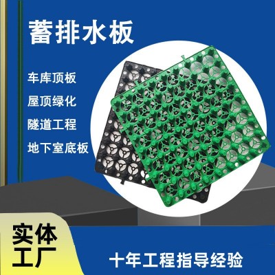 蓄排水板塑料hdpe凹凸黑色透明墨绿疏水滤水隔水顶板车 库厂家批发图3