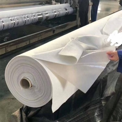 蓄水池人工湖两布一膜一布一膜防渗土工膜厂家河道治理900g防渗膜图5