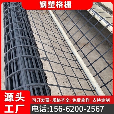 钢塑土工格栅 公路铁路地基加固钢塑格栅 塑钢土工格栅50KN 80KN图4
