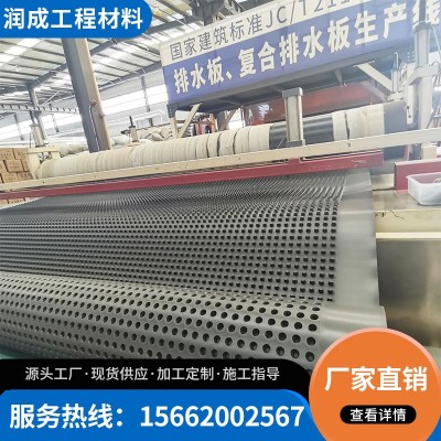 塑料排水板 园林绿化 地下车库底板PE排水板生产厂家 量大优惠图2