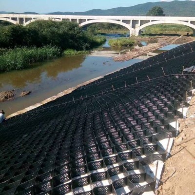 厂家直供hdpe土工格室 施工简单伸缩自如堤坝加固蜂巢土工格室  2000平方米图3