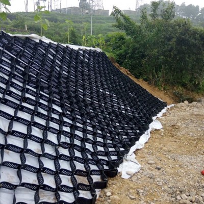 厂家直供hdpe土工格室 施工简单伸缩自如堤坝加固蜂巢土工格室  2000平方米图4