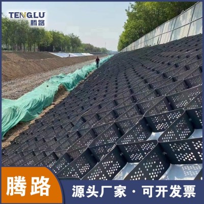 厂家直供hdpe土工格室 施工简单伸缩自如堤坝加固蜂巢土工格室  2000平方米图2