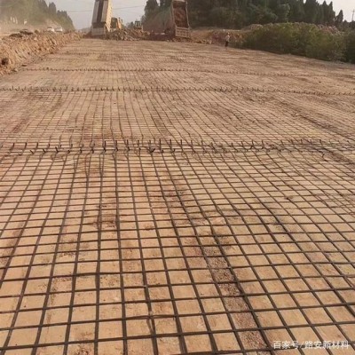 带钢丝的双向钢塑土工格栅 黑色塑料格栅广东公路软土地基加固  1平方米图4