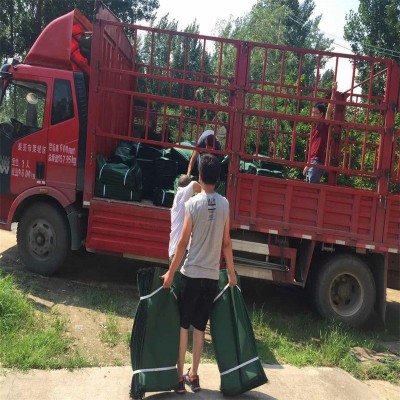 河道治理防汛涤纶生态袋 园林护坡围堰植生袋40*80高速绿化生态袋  50个图3