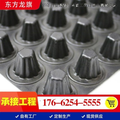 HDPE塑料排水板 地下室顶板绿化阻根滤水板 停车场凹凸型蓄排水板  10平方米图2