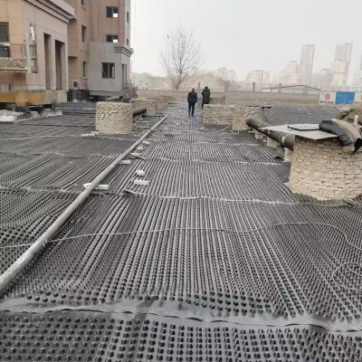 HDPE地下室排水蓄水板 屋顶绿化凹凸型黑色塑料排水板 厂家定制  100平方米图5