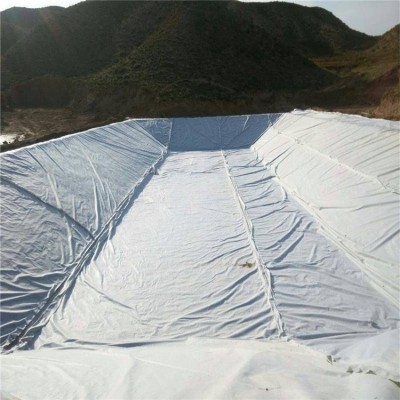 HDPE防水土工布 蓄水池隔离防渗土工膜 垃圾填埋场用复合土工膜 100平方米图5