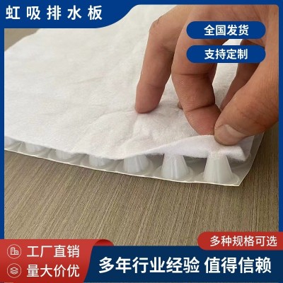 现货出售覆布排水板 车库顶板PED14虹吸排水高分子防护排水异形片  1平方米图2