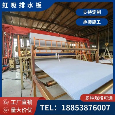 批发出售虹吸高分子防护排水异型片 PED14车库顶板复合 排水板   1平方米图2