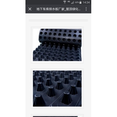 厂家直销排水板 高强度抗压排水板 绿化屋顶  1平方米图4