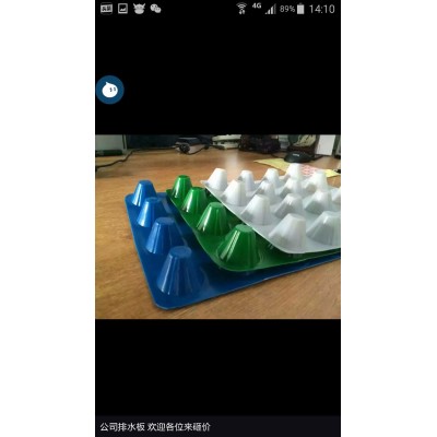 厂家直销排水板 高强度抗压排水板 绿化屋顶  1平方米图5