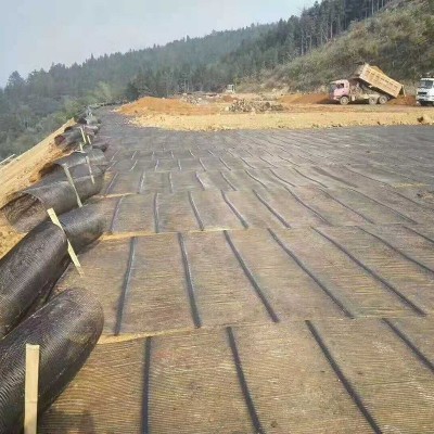 长期出售单向土工格栅 用心选材结实好用 单向土工格栅   200平方米图4